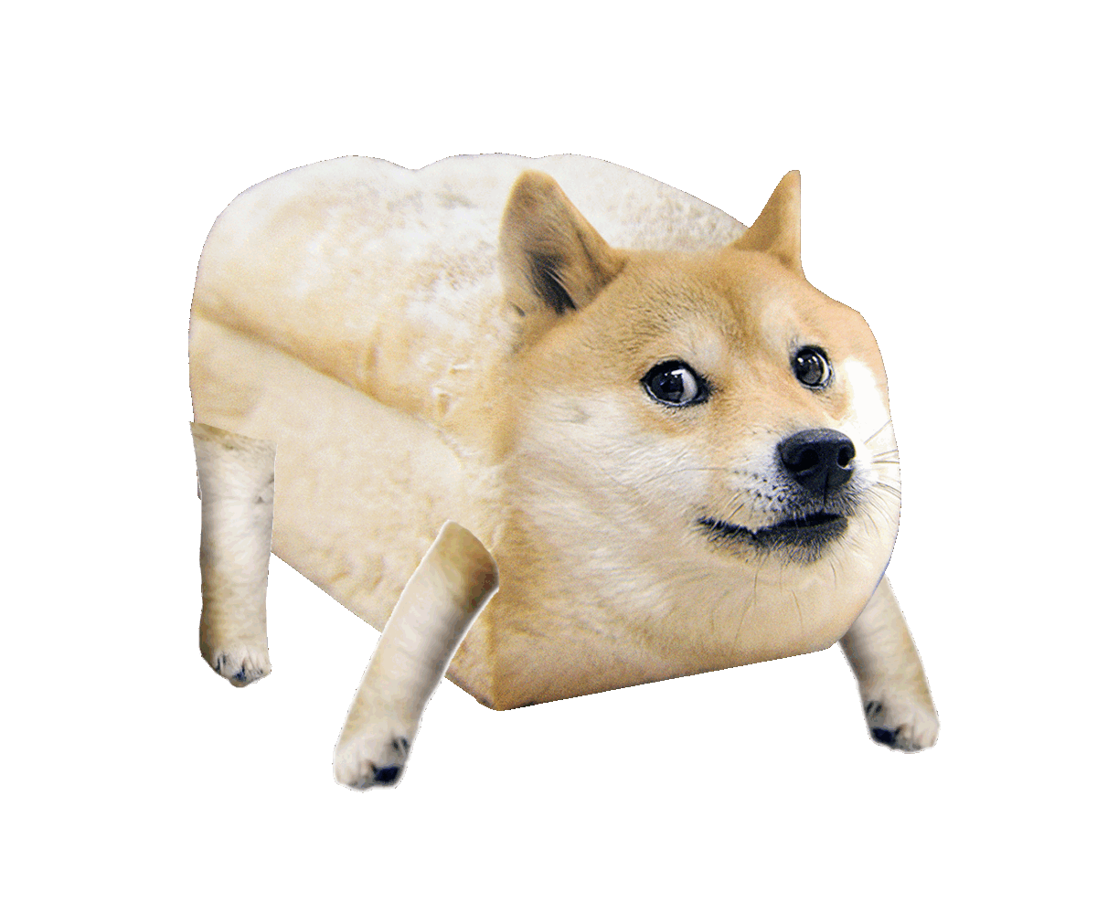 Running Doge